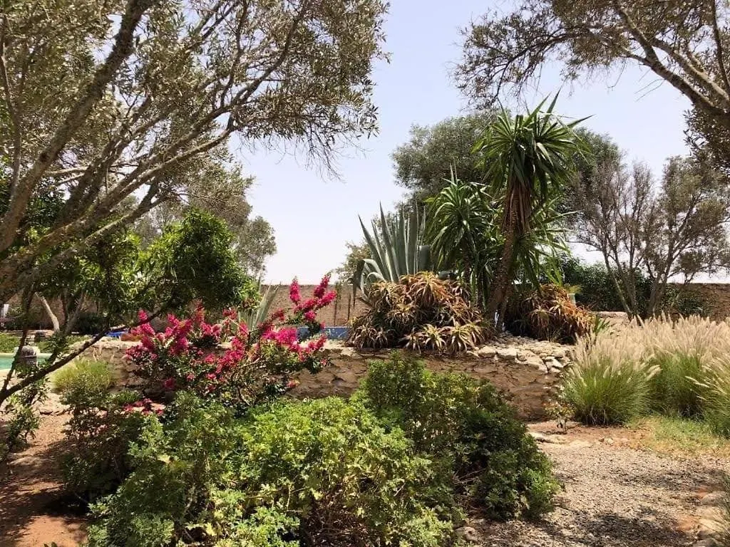 Hotel Les Jardins De Silona, Piscine Chauffee à Essaouira Maison d'hôtes